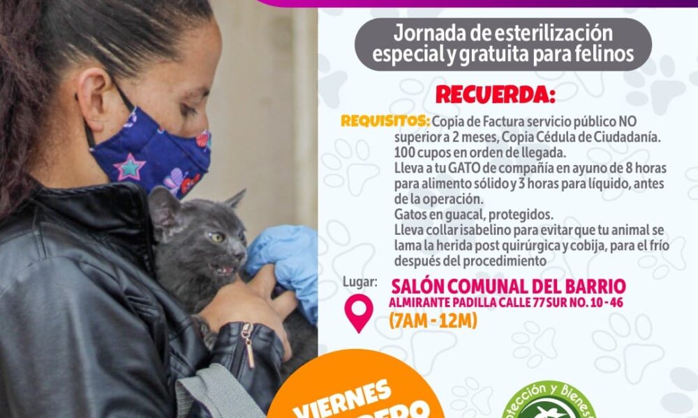 Jornada de Esterilización Especial y Gratuita para Felinos