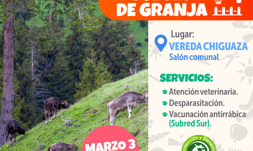 Jueves de Granja en Usme