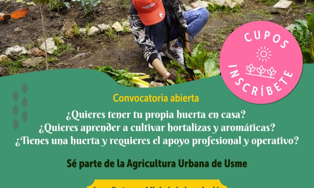 ¿Quieres Tener Tu Propia Huerta en Casa?