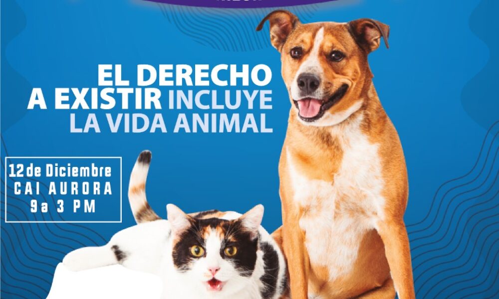 Animalius Fest Vida y Derecho Animal en Usme