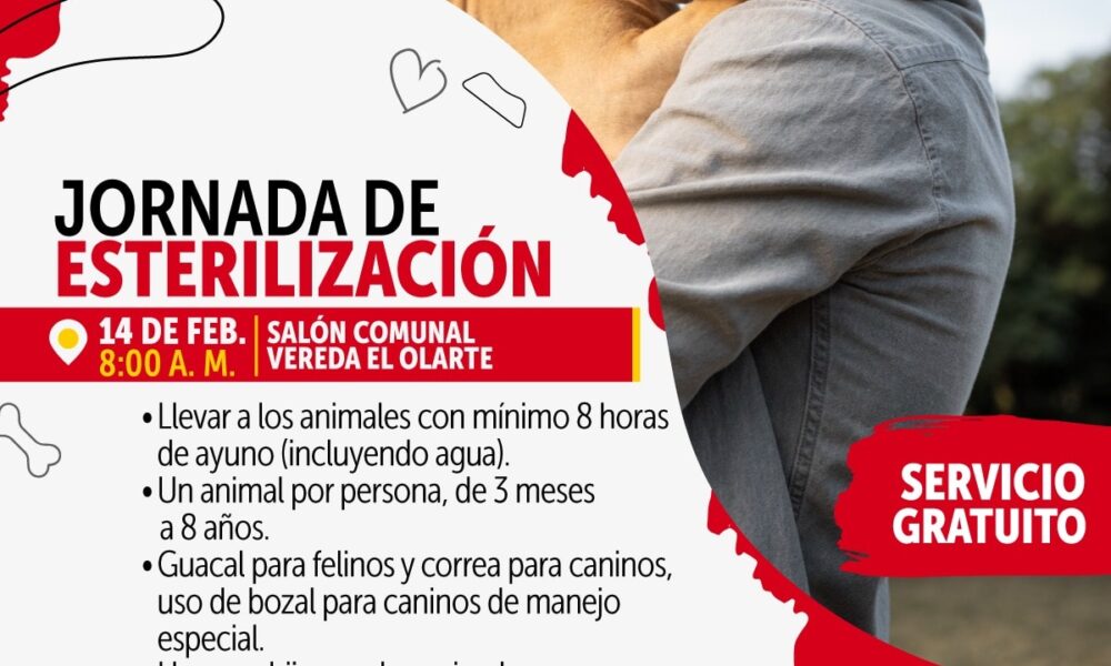 Jornada de esterilización gratuita en Usme: ¡una oportunidad para el bienestar animal!