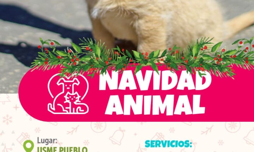 Navidad Animal en Usme