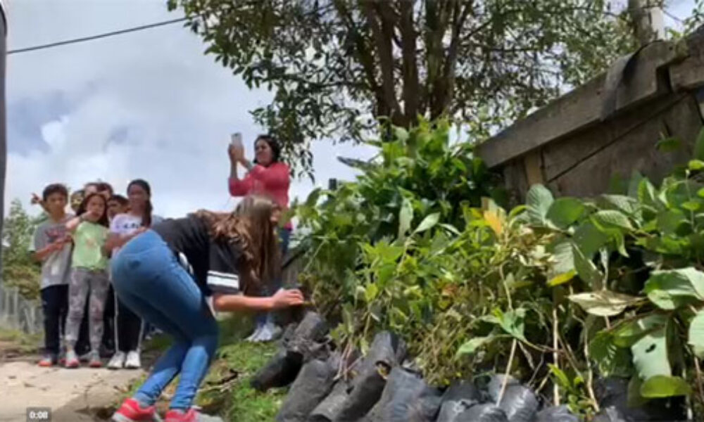 Niños del Colegio Carmen Teresiano de Usme Siembran 200 Árboles