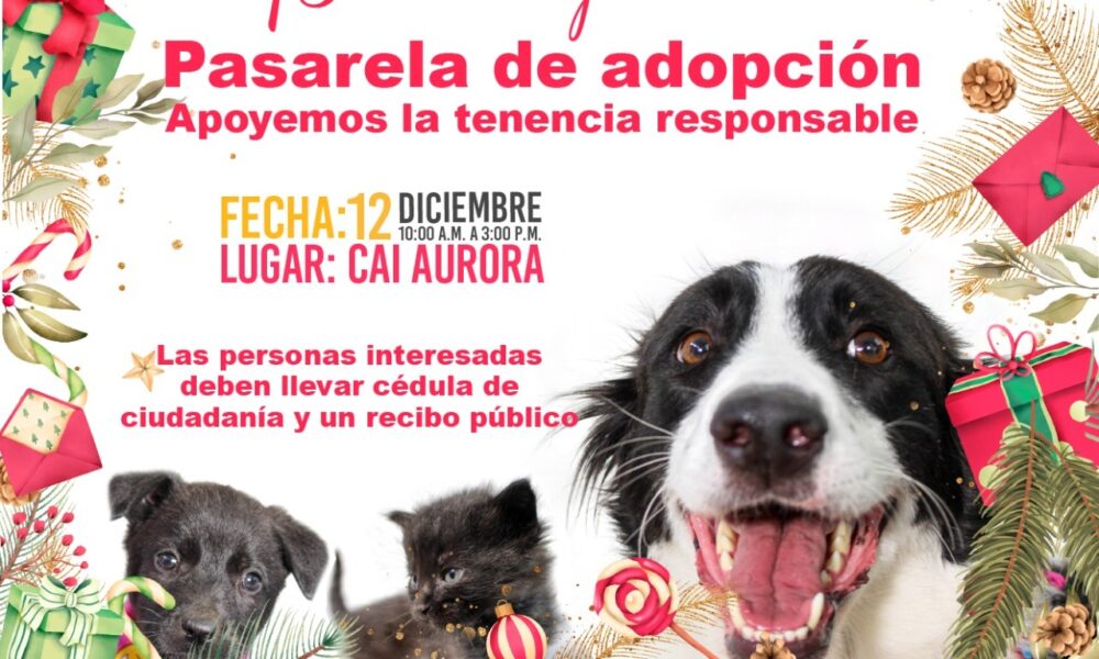 Pasarela de Adopción en Usme