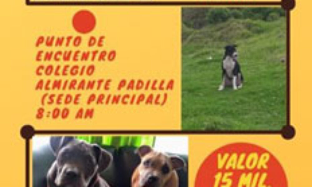 Primer Recorrido Canino en Usme