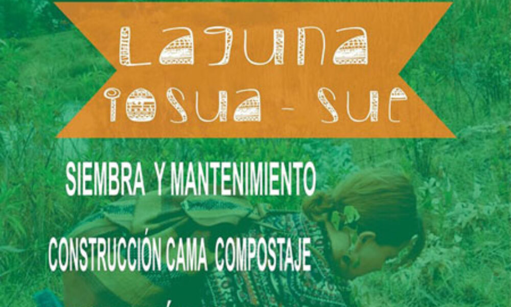 Siembra y Mantenimiento en la Laguna Iosua –  Sue