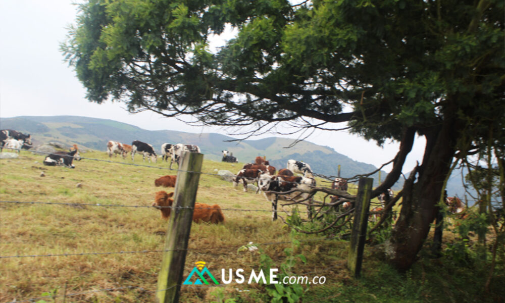 Charla con el Instituto Distrital de Turismo y organizaciones de Usme