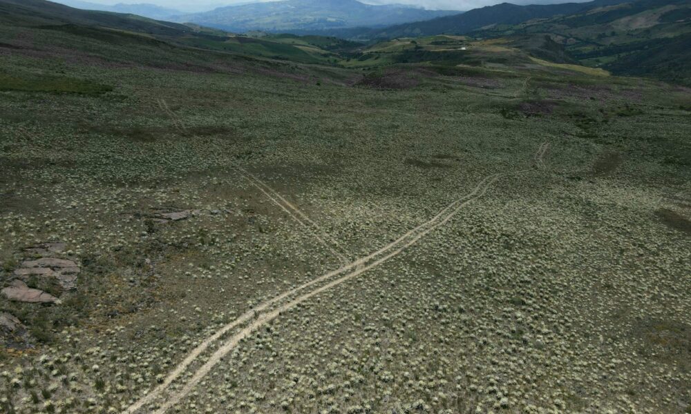 Páramo de Sumapaz afectado por el paso de un tractor