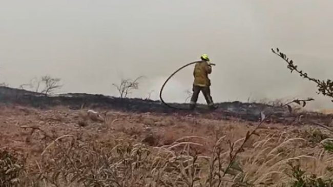 ¡Bomberos en acción! apagando incendio forestal provocado por la quema de basuras