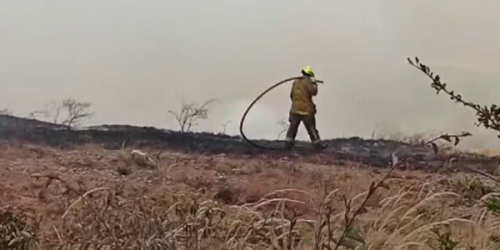 ¡Bomberos en acción! apagando incendio forestal provocado por la quema de basuras