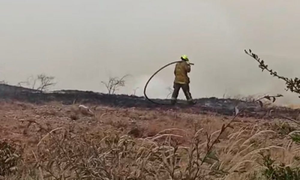 ¡Bomberos en acción! apagando incendio forestal provocado por la quema de basuras