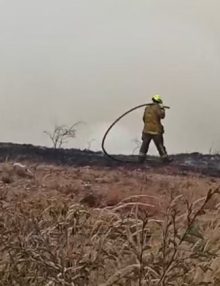 ¡Bomberos en acción! apagando incendio forestal provocado por la quema de basuras