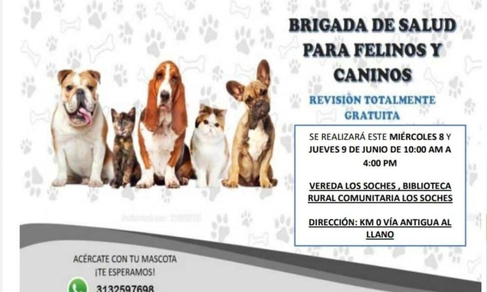 Brigada de Salud Veterinaria Vereda Los Soches de Usme