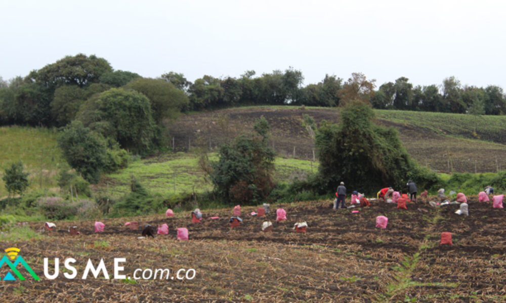 Inscríbase en la Primera Gran Cumbre Colombia Rural