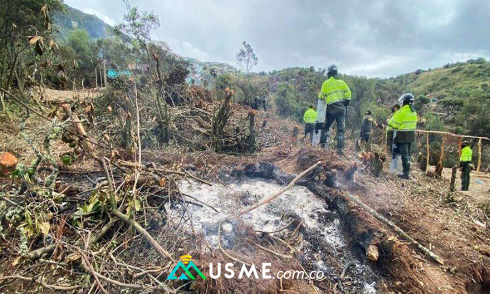 Daño ambiental en Reserva Entrenubes por invasiones en Usme