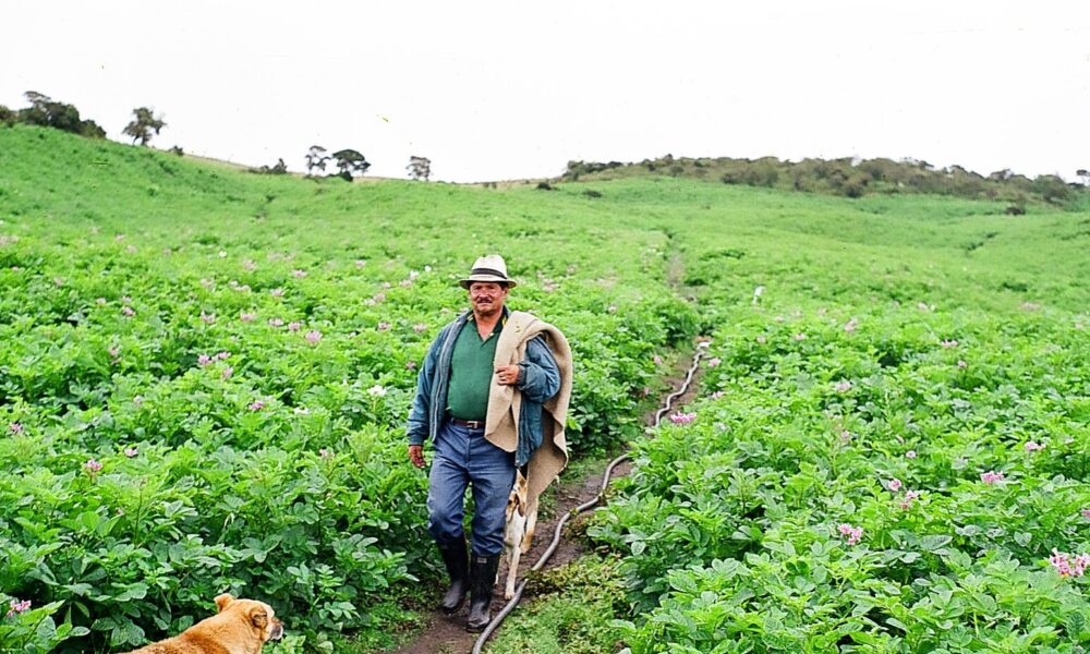 Día del campesino en Usme