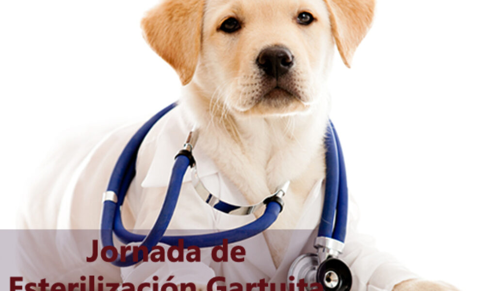 Esterilizando Ando Octubre 2019