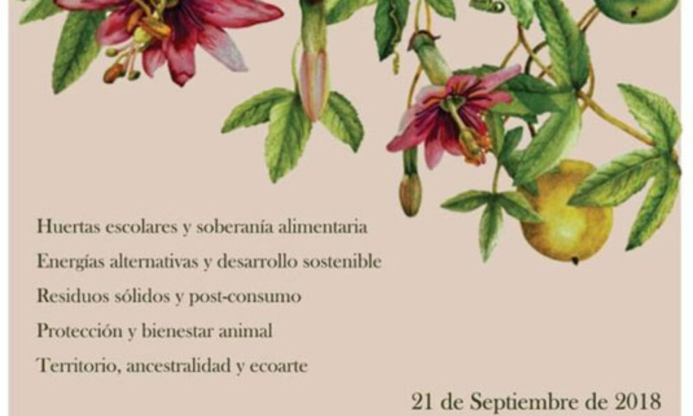 3° Feria Agroecológica y Ambiental de Usme