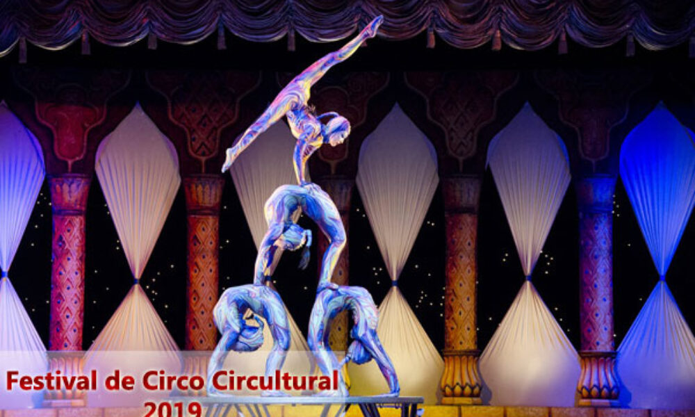 Festival de Circo Circultural 2019