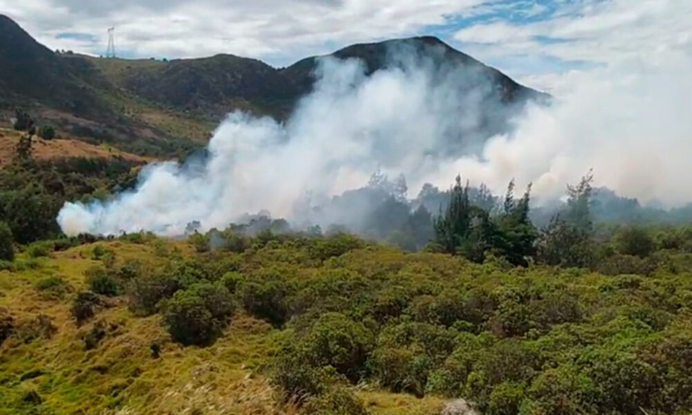 Se presenta incendio forestal en el barrio Las Quintas, sector Aurora