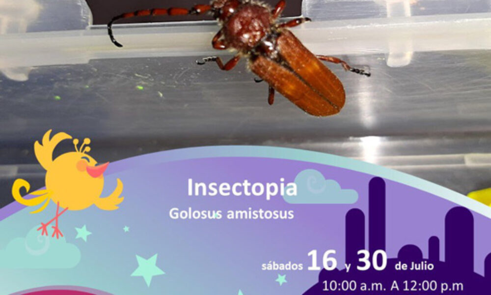 Insectopia