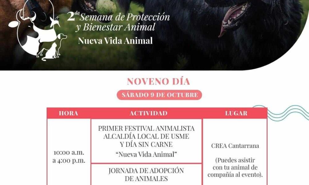 Jornada de adopción de mascotas