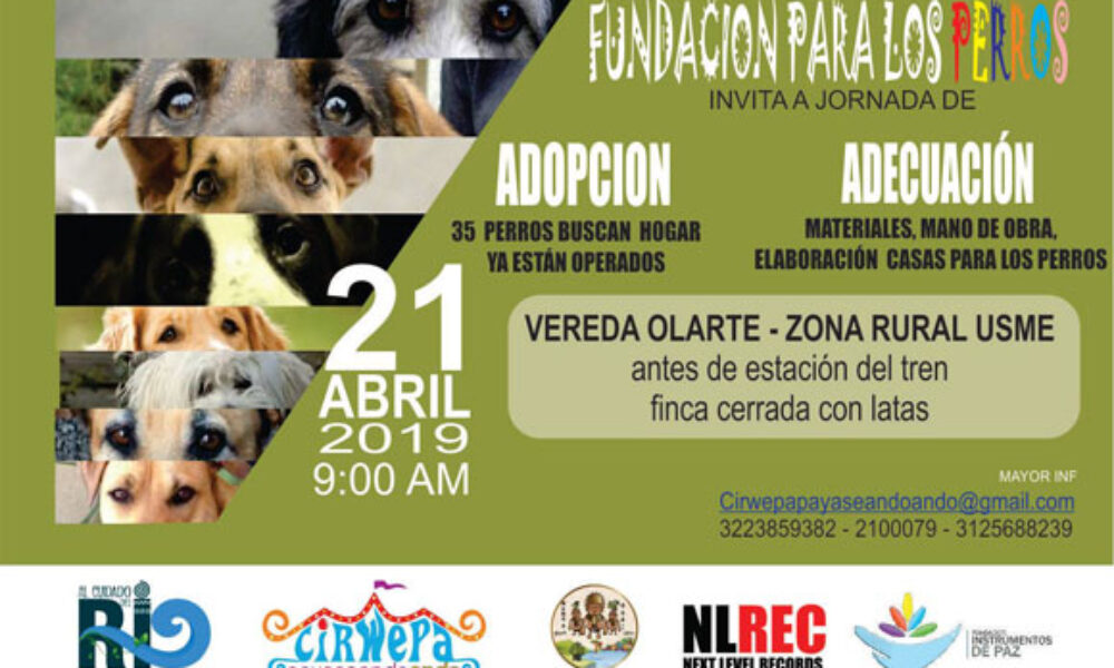 Jornada de Adopción y Adecuación de Perros