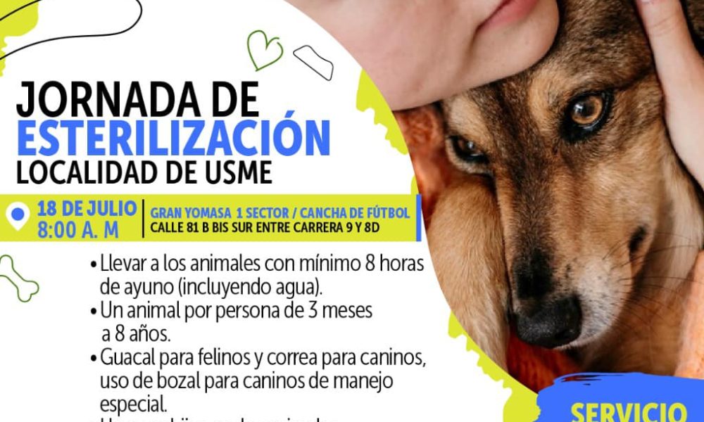 ¡Esteriliza a tu mascota y contribuye a su bienestar y al control poblacional animal en Usme!