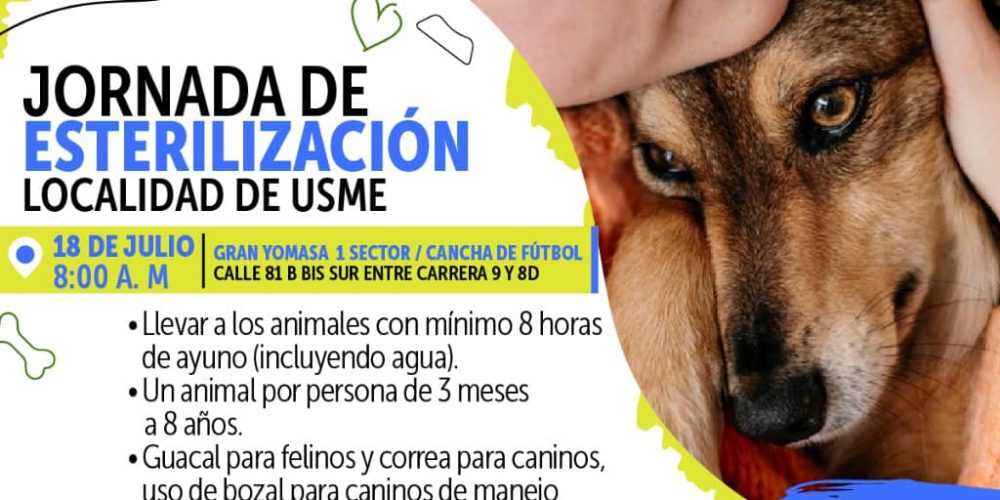 ¡Esteriliza a tu mascota y contribuye a su bienestar y al control poblacional animal en Usme!