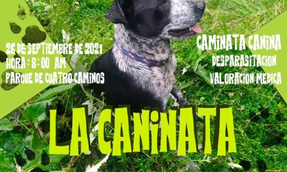 La Caninata: 6ta Caminata Canina en Entrenubes, Usme