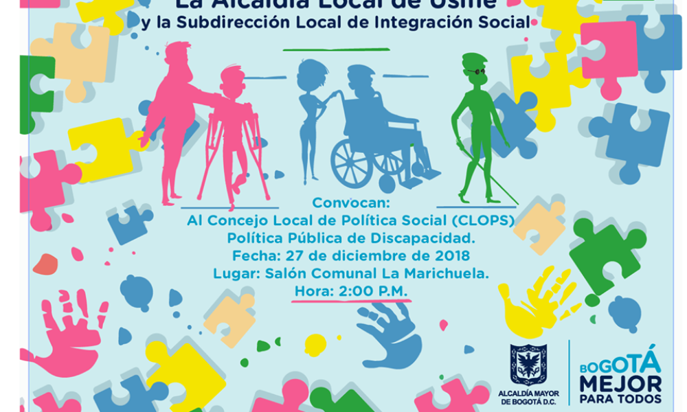 Consejo local de política pública de discapacidad