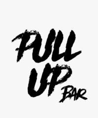 Pull Up Bar