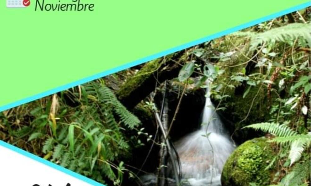 Recorrido de reconocimiento ambiental microcuenca Yomasa