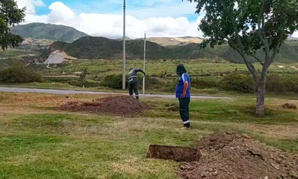 Siembra de árboles en el separador de la Boyacá Usme