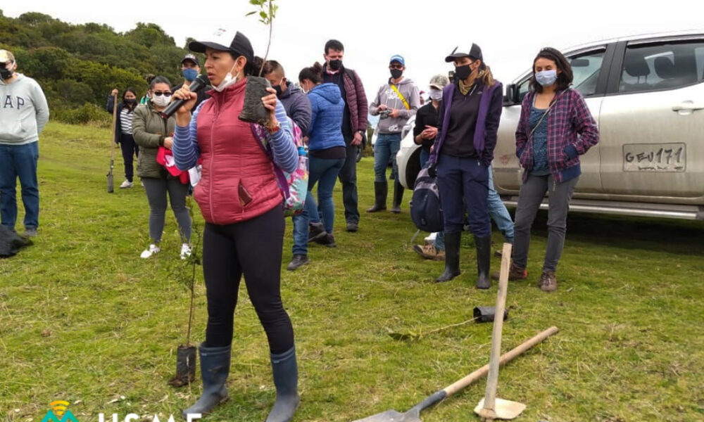 Inicia Siembra en en parque Entrenubes 🌱🌳🌿💚