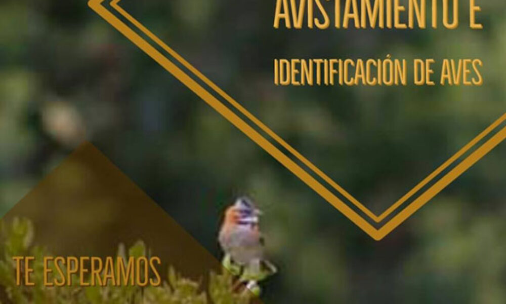 1er Taller de Observación e Identificación de Aves