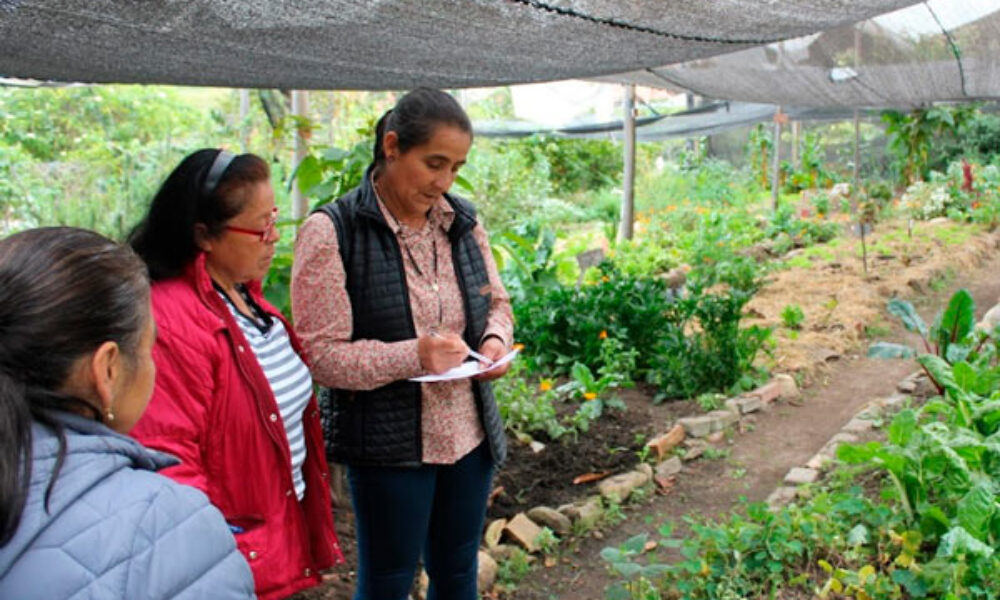 Taller de Agrobiodiversidad en Cantarrana