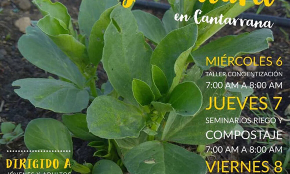 Agricultura en Cantarrana