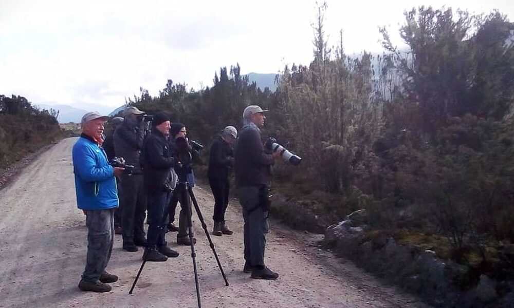 Turistas extranjeros en Usme