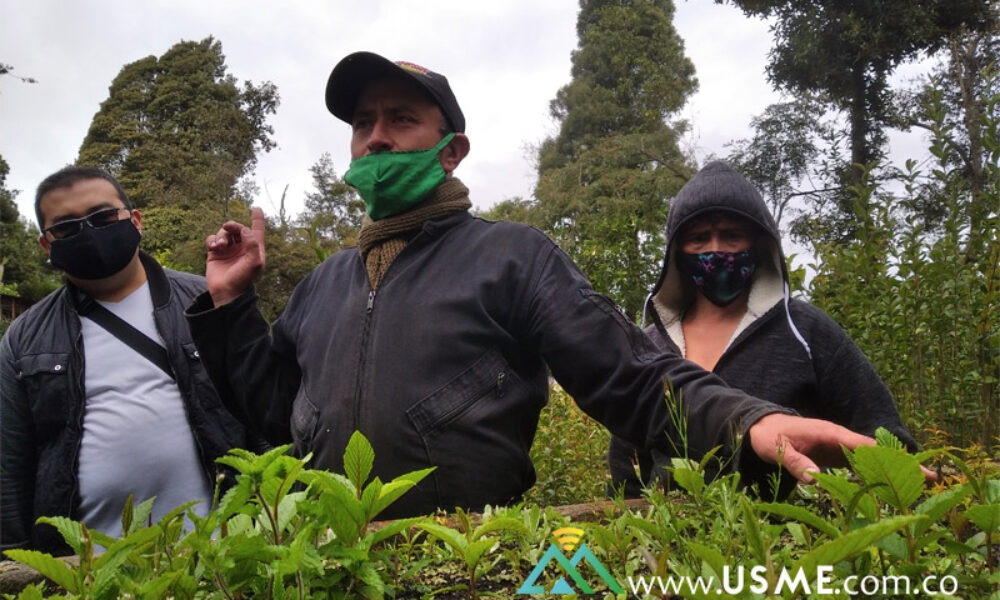 Vivero La Requilina: Reforestando Usme